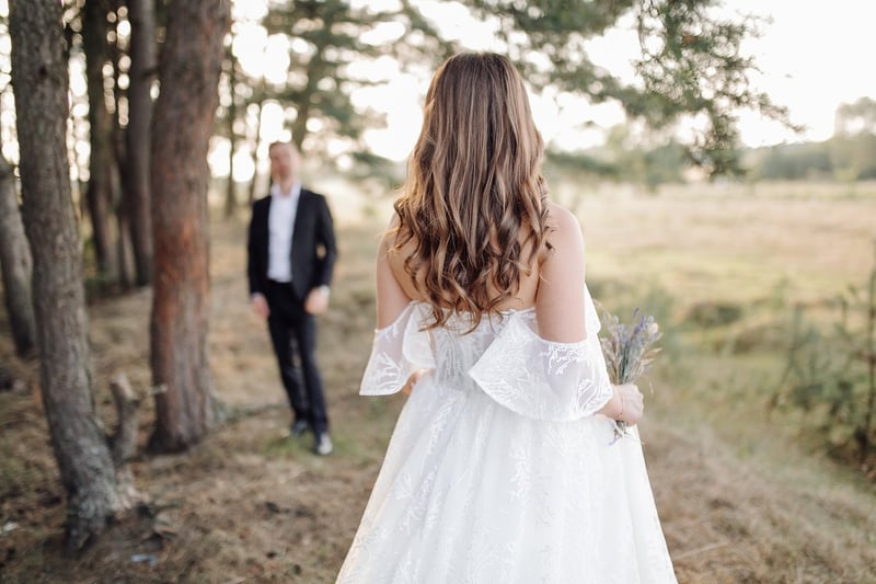Cinderella-Inspired Gown